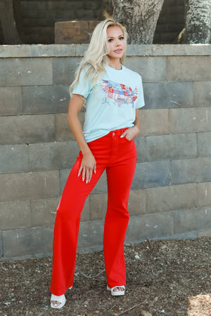 Freedom Runs in My Veins Graphic Tee, Ice Blue, Closet Candy, 3